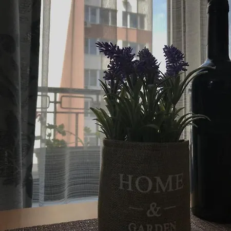 Sunny Shore Бургас