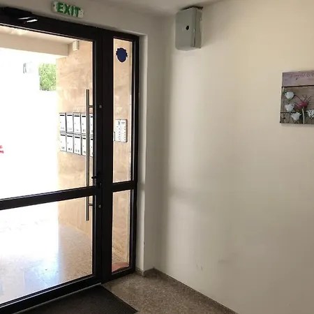 Sunny Shore Apartment